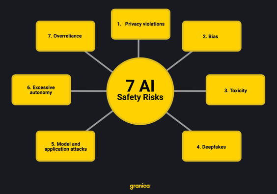 7 AI safety risks-1