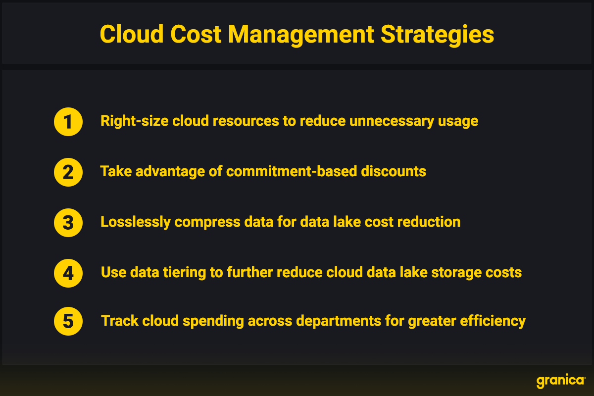 Cloud Cost Management Strategies